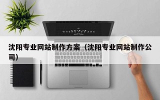 天长沈阳专业网站制作方案（沈阳专业网站制作公司）